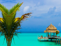 leikur Tropical Paradise