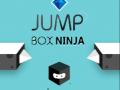 leikur Jump Box Ninja