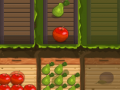 leikur Fruit Gardener