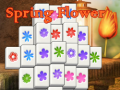 leikur Spring Flower