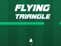 leikur Flying Triangle