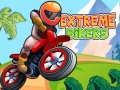 leikur Extreme Bikers