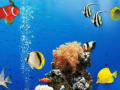 leikur Sea Underwater Difference