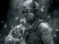 leikur FPS Agency: Forest