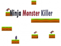 leikur Ninja Monster Killer