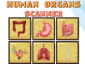 leikur Human Organs Scanner
