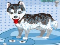 leikur My Cute Dog Bathing