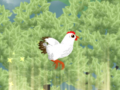 leikur Chickaboom