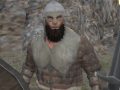 leikur Vikings Aggression