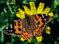 leikur Jigsaw Puzzle: Spring