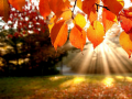 leikur Jigsaw Puzzle: Autumn