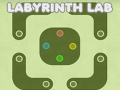 leikur Labyrinth Lab