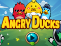 leikur Angry Ducks