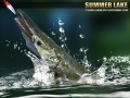leikur Summer Lake 1.5