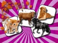 leikur Domestic Animal Memory Challenge