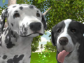 leikur Dog Simulator 3d