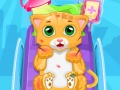 leikur Little Cat Doctor