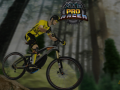 leikur MTB Pro Racer