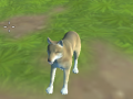 leikur Wolf Simulator