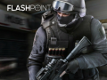 leikur Flashpoint