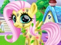 leikur Little Pony Caretaker