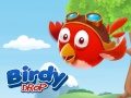 leikur Birdy Drop