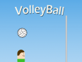 leikur VolleyBall