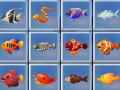 leikur Find The Fish