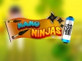 leikur Nano Ninja 
