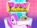 leikur Pony Pet Salon