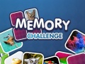 leikur Memory Challenge