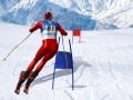 leikur Slalom Ski Simulator