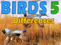 leikur Birds 5 Differences