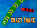 leikur Crazy Snake