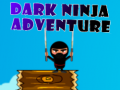 leikur Dark Ninja Adventure