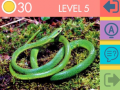 leikur 15 Picture Quiz
