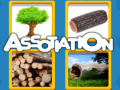 leikur Assotiation 