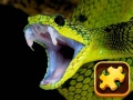 leikur Snake Puzzle Challenge