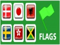 leikur Flags