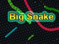 leikur Big Snake