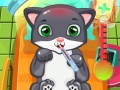 leikur Cat Doctor