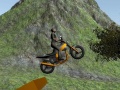 leikur Dirt Bike Rider