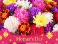 leikur 2019 Mother's Day Puzzle