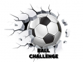 leikur Ball Challenge