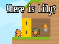 leikur Where is Lily?