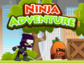 leikur Ninja Adventure