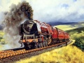 leikur Train Journeys Puzzle