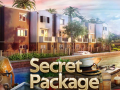 leikur Secret Package