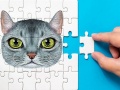 leikur Abyssinian Puzzle Challenge