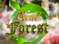 leikur Secret Forest